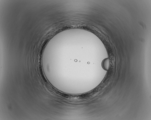 X0000113030507200908271058