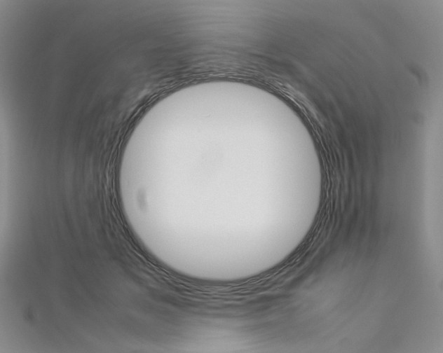 X0000113030509200908271058