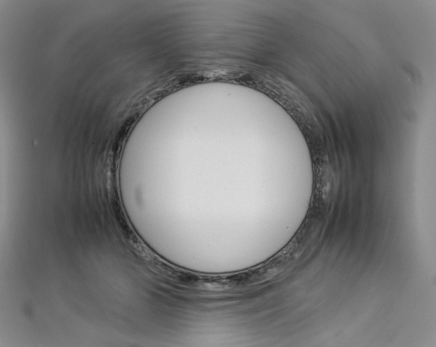 X0000113030510200908271058