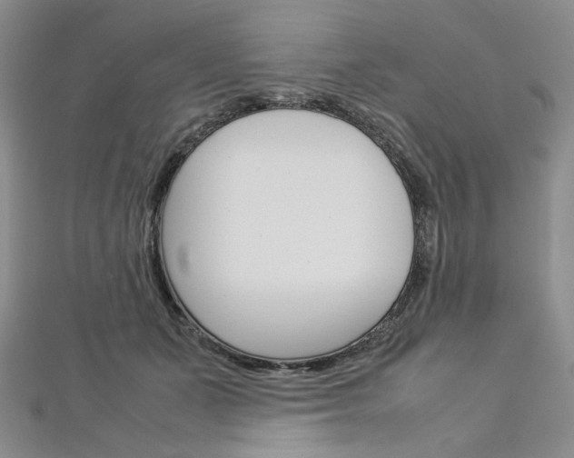 X0000113030511200908271058