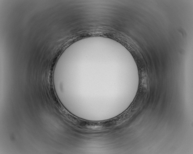 X0000113030514200908271058