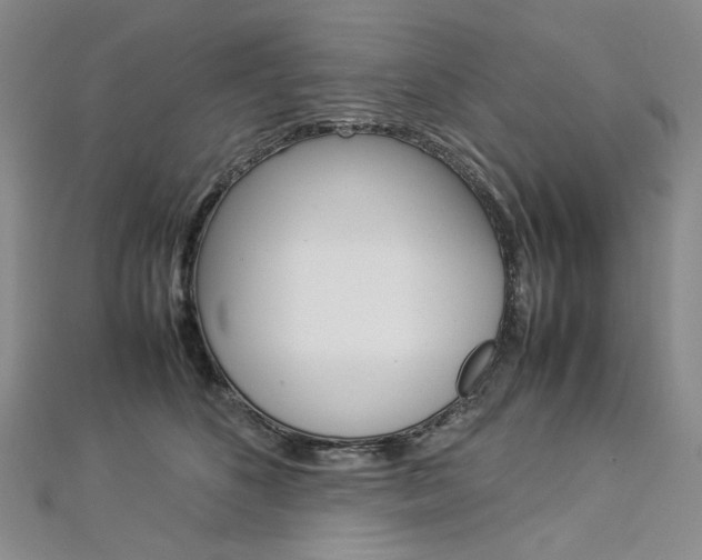 X0000113030516200908271058