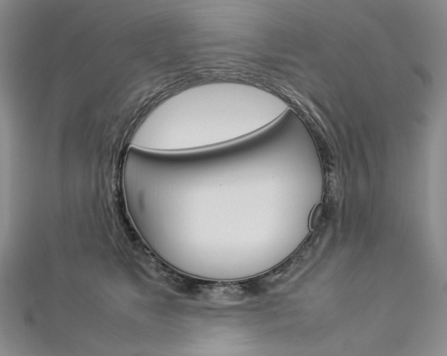 X0000113030517200908271058