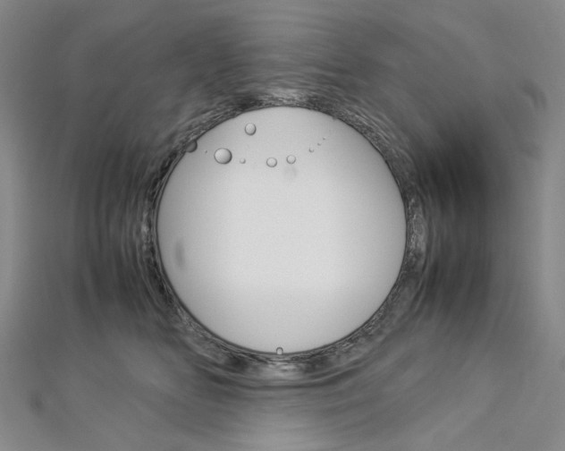 X0000113030518200908271058