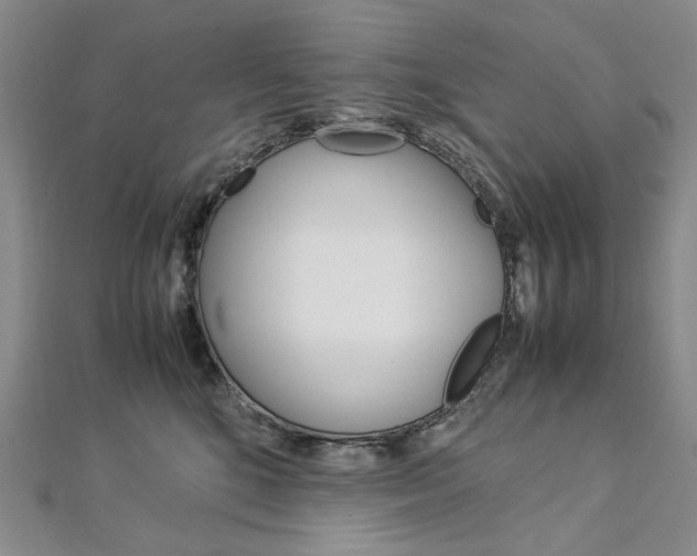 X0000113030520200908271058