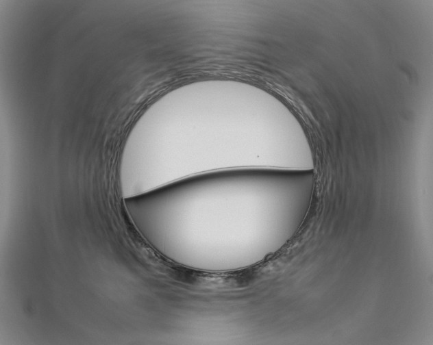 X0000113030521200908271058