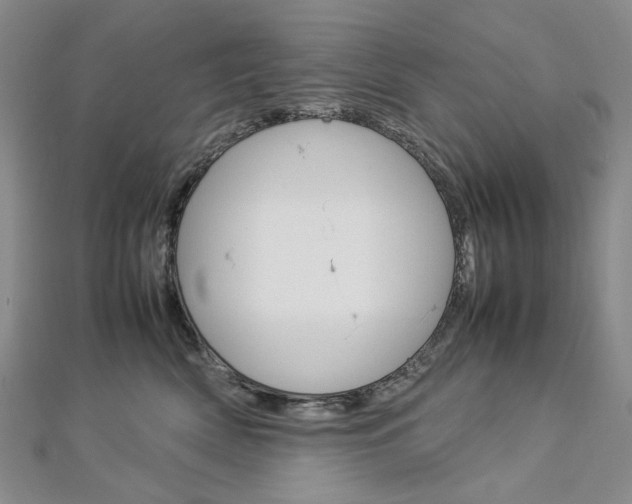 X0000113030522200908271058