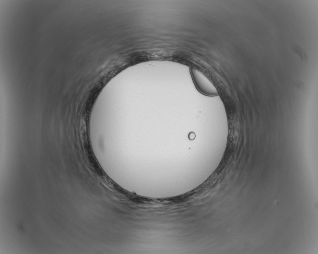 X0000113030523200908271058