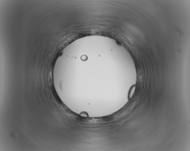 X0000113030527200908271058