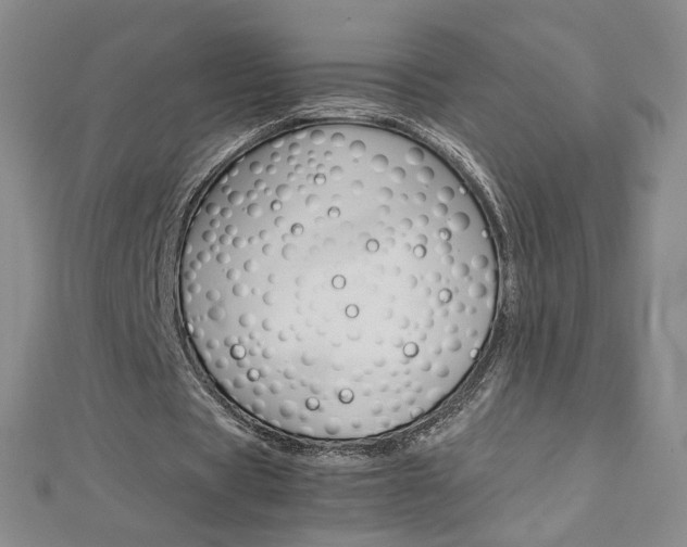 X0000113030529200908271057