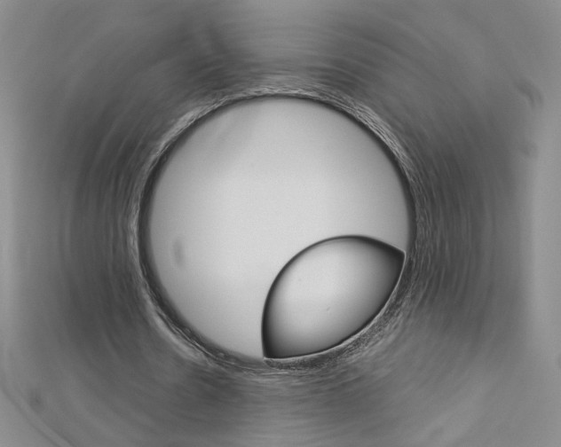 X0000113030530200908271057