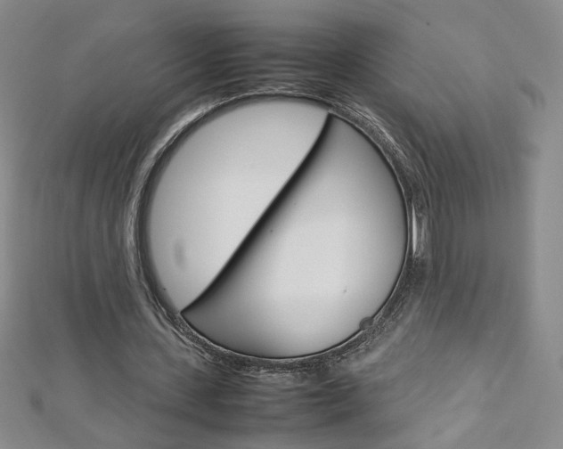 X0000113030531200908271057