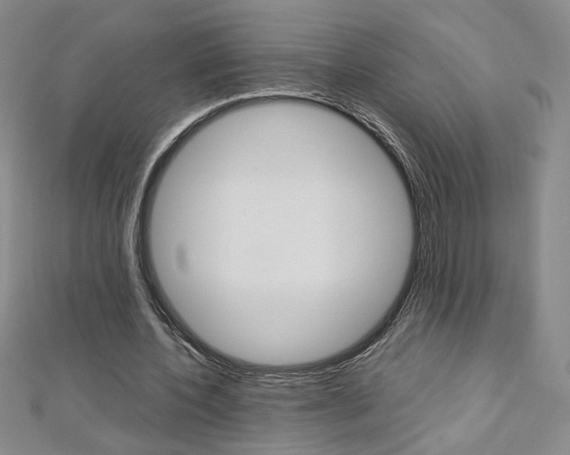 X0000113030532200908271057