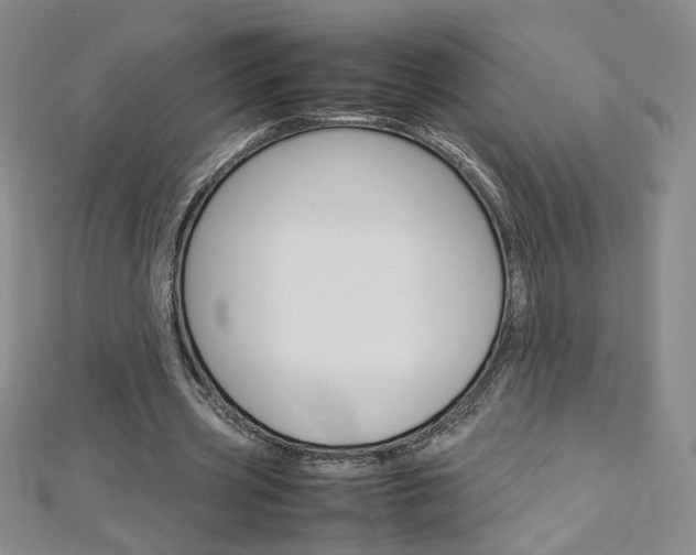 X0000113030533200908271057