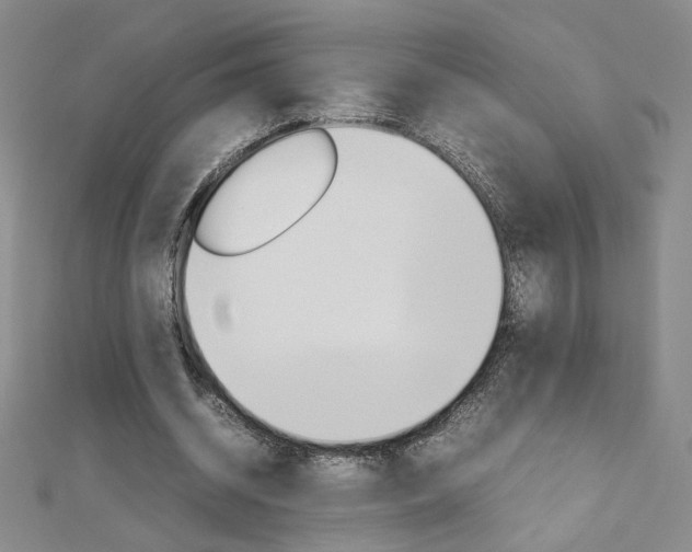 X0000113030534200908271057