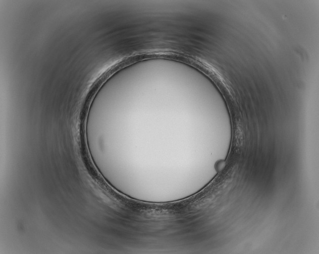 X0000113030535200908271057