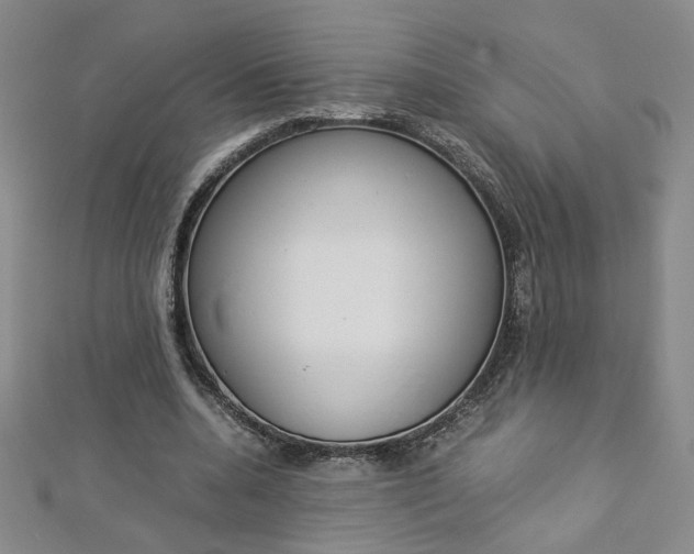X0000113030536200908271057