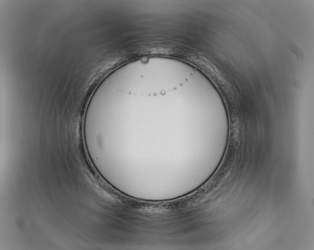 X0000113030537200908271057