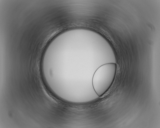 X0000113030538200908271057