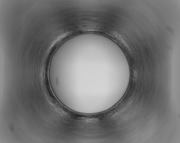 X0000113030539200908271057