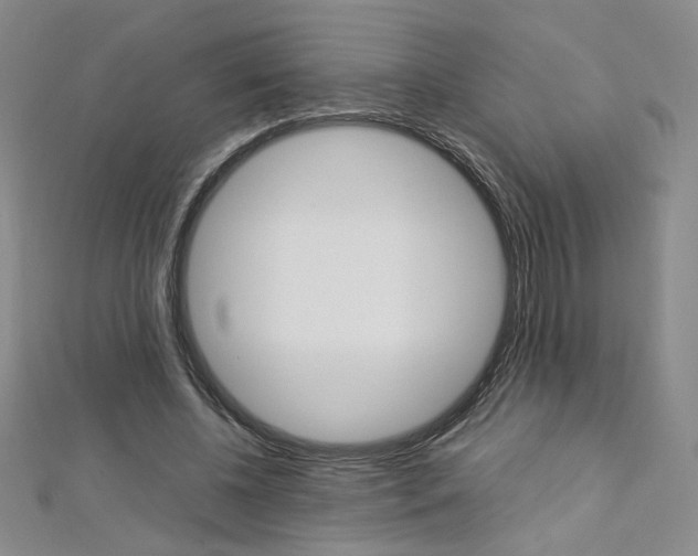 X0000113030540200908271057