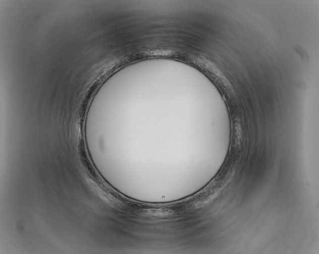 X0000113030541200908271057