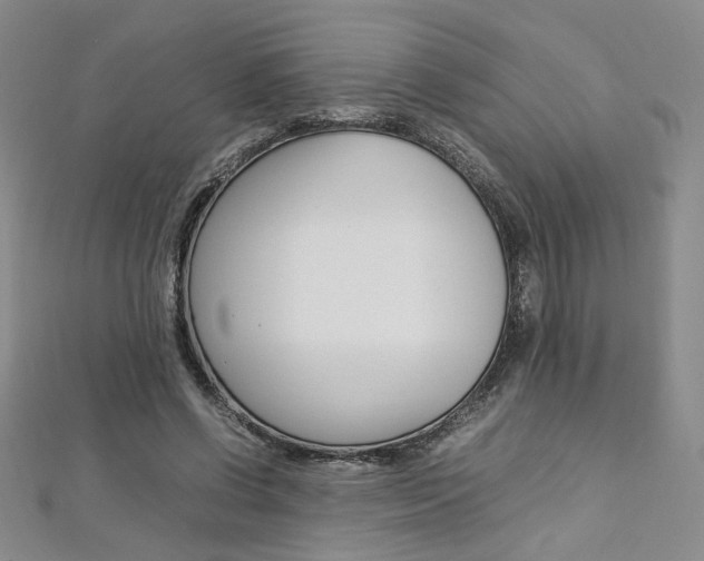 X0000113030542200908271057