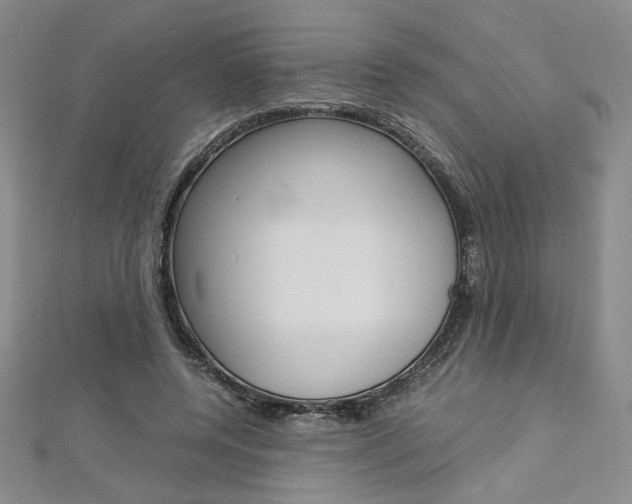 X0000113030544200908271057