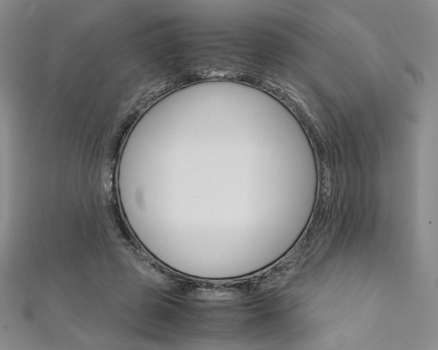 X0000113030545200908271057