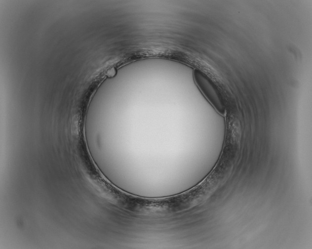 X0000113030546200908271057