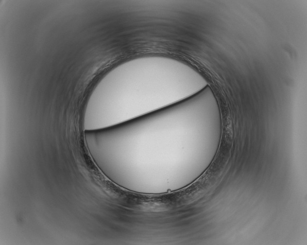X0000113030547200908271057
