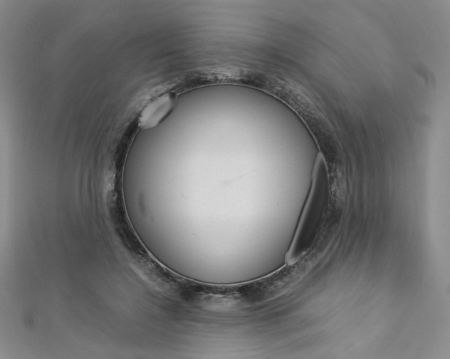 X0000113030548200908271057