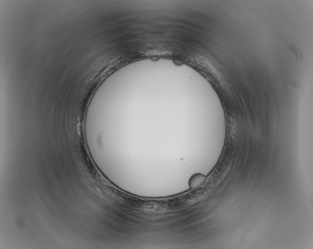 X0000113030549200908271057