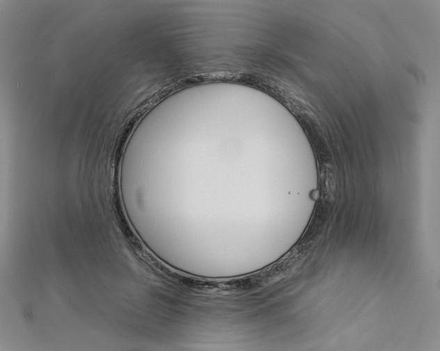 X0000113030550200908271057