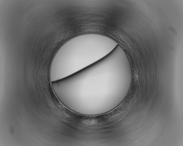 X0000113030551200908271057