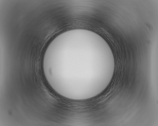X0000113030552200908271057
