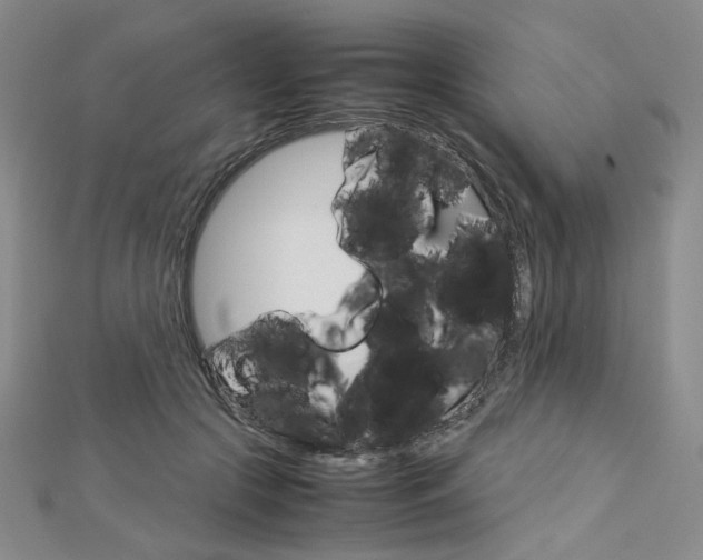 X0000113030553200908271057