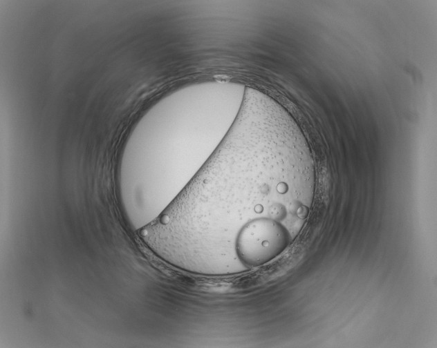 X0000113030554200908271057