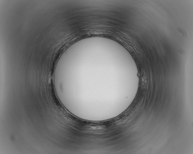 X0000113030555200908271057