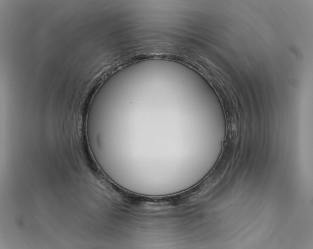 X0000113030556200908271057