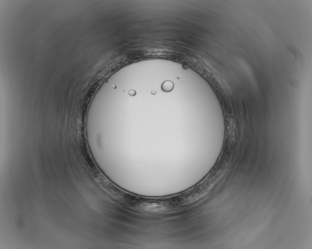 X0000113030557200908271057