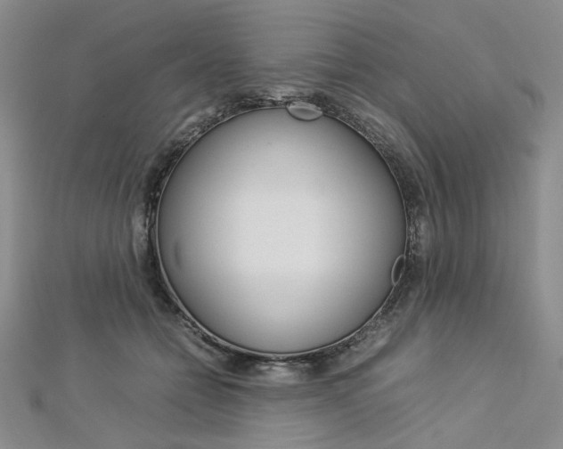 X0000113030558200908271057