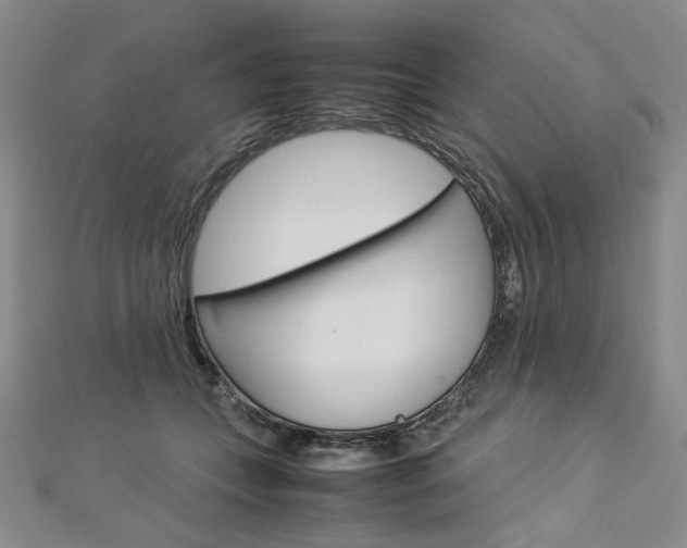 X0000113030559200908271057