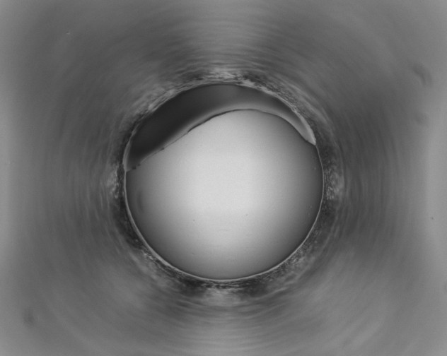 X0000113030560200908271057