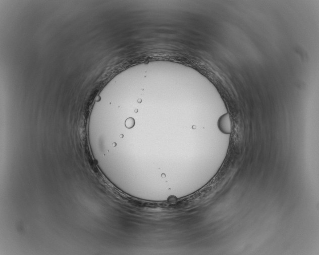 X0000113030561200908271057