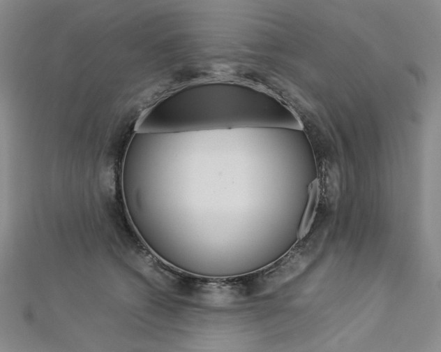 X0000113030562200908271057