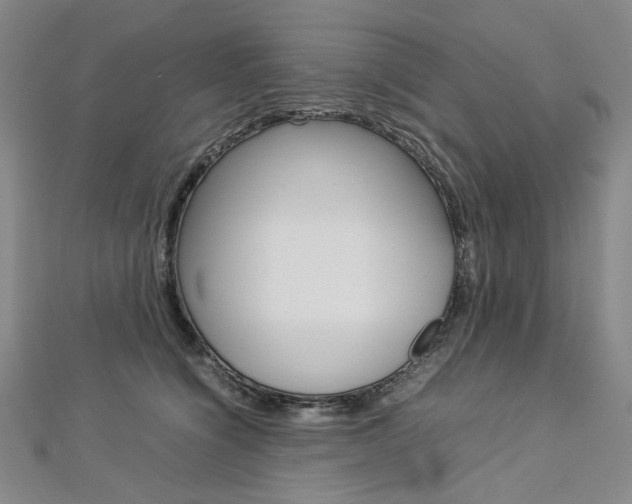X0000113030564200908271057