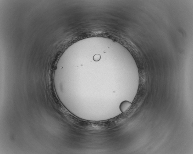 X0000113030565200908271057
