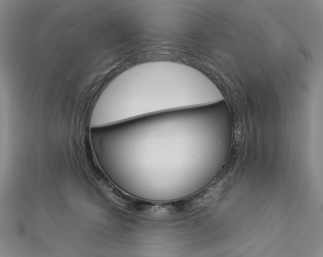 X0000113030566200908271057