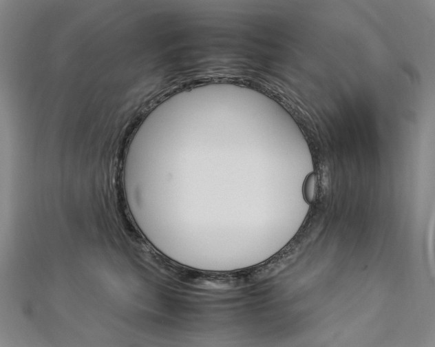 X0000113030567200908271057